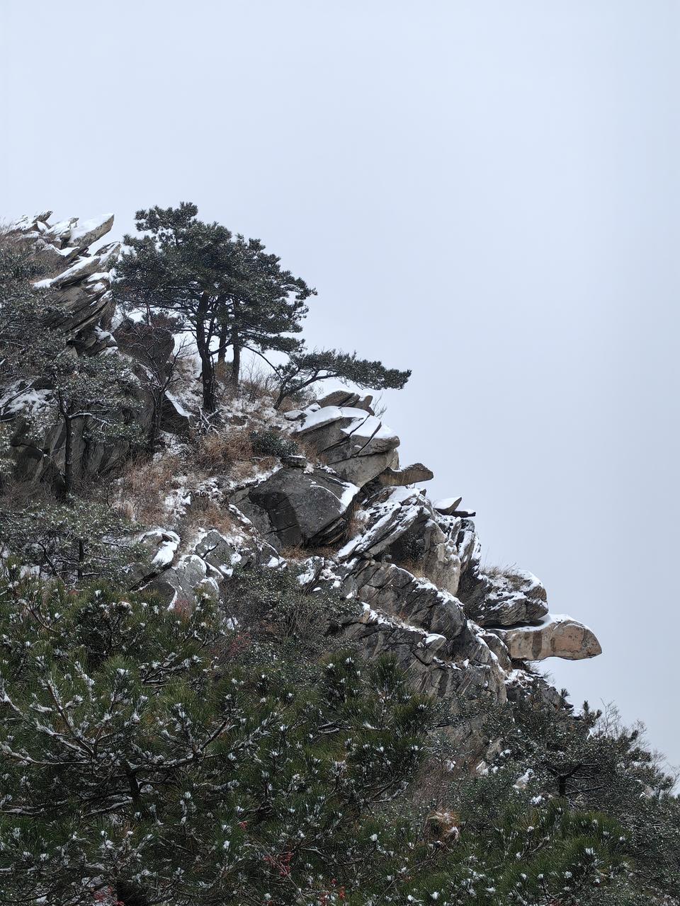 初冬飘雪,蒙山邀您雪中游