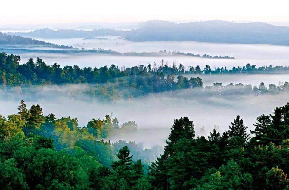 伊春:苍茫林海间的绿色发展之路