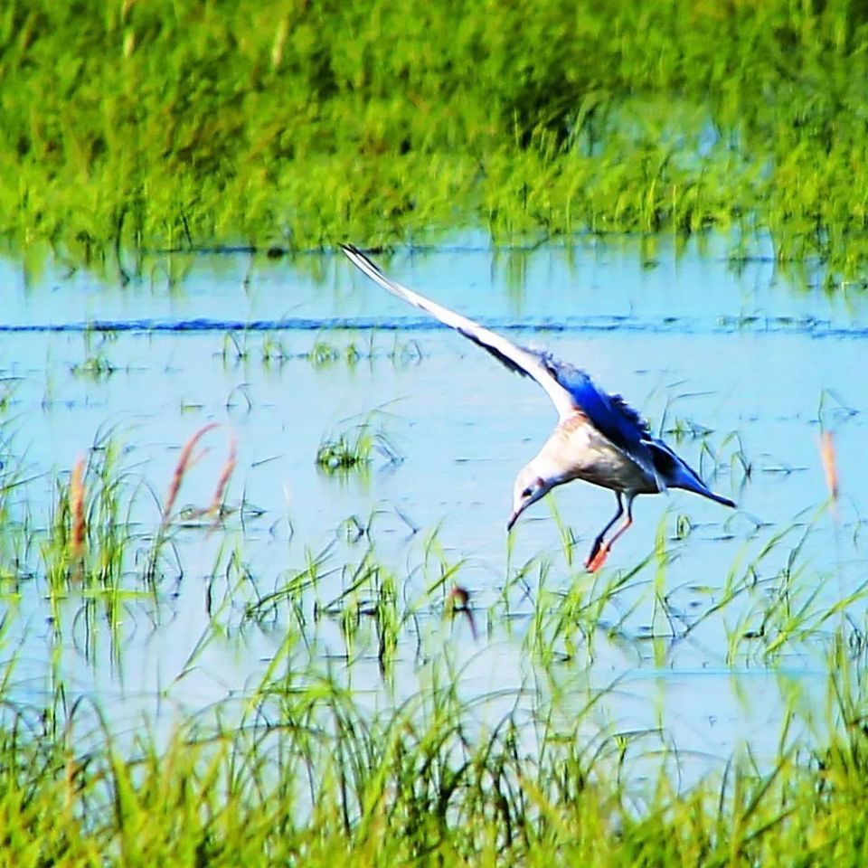 致敬最可爱的人!五大连池献礼"八一"建军节
