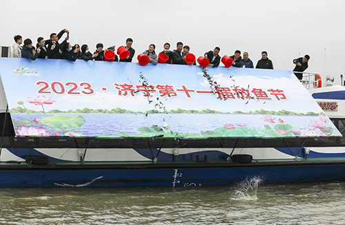 近年来,济宁市高度重视渔业资源养护和农业品牌建设,连续十年举办放鱼