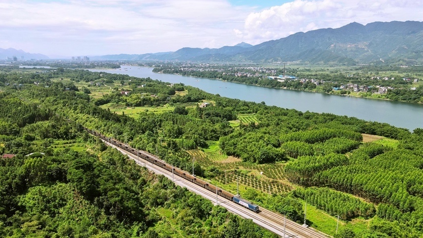 广西铁路部门义务植树打造绿色生态走廊