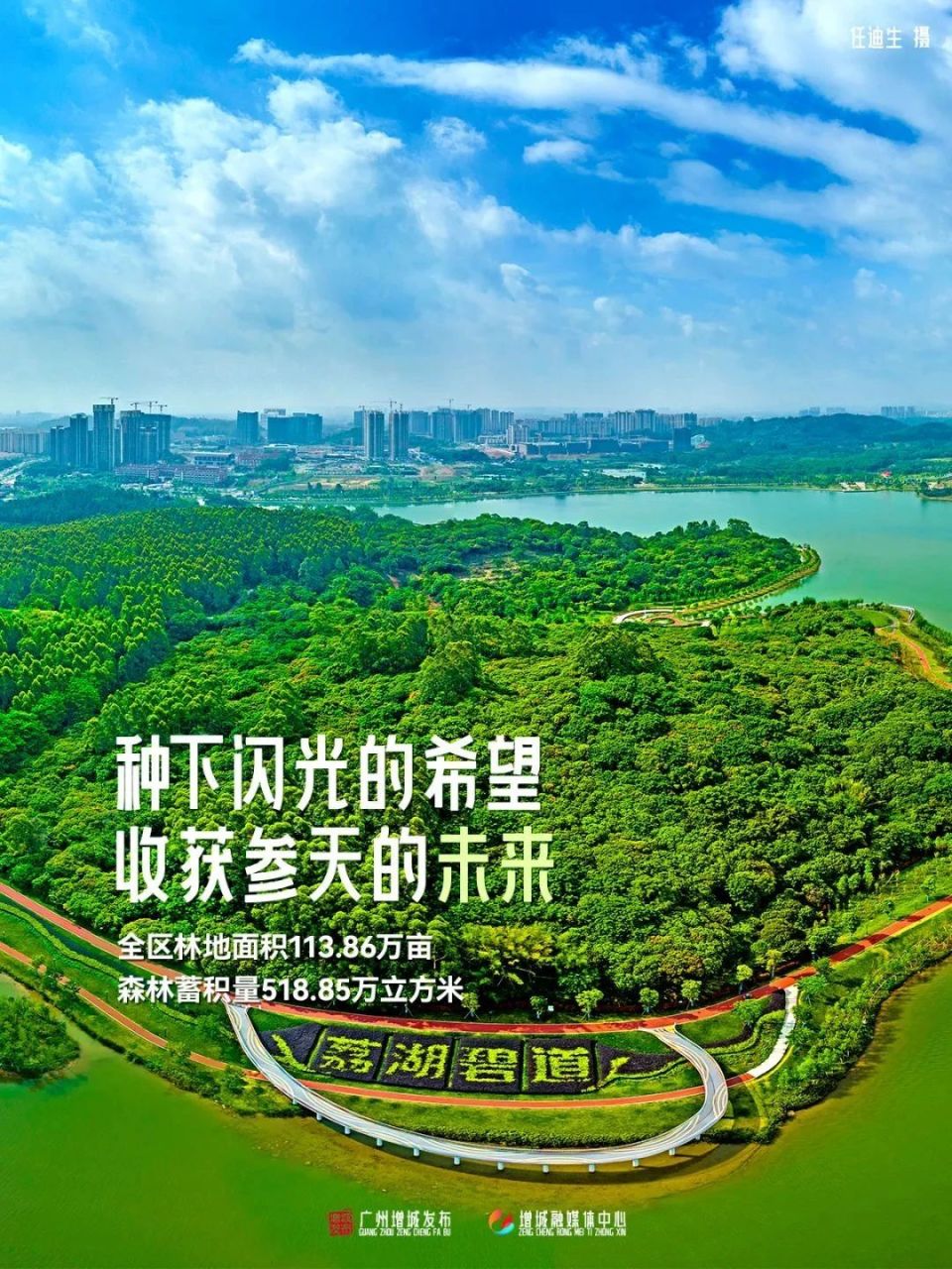 增城有树不尽的美好