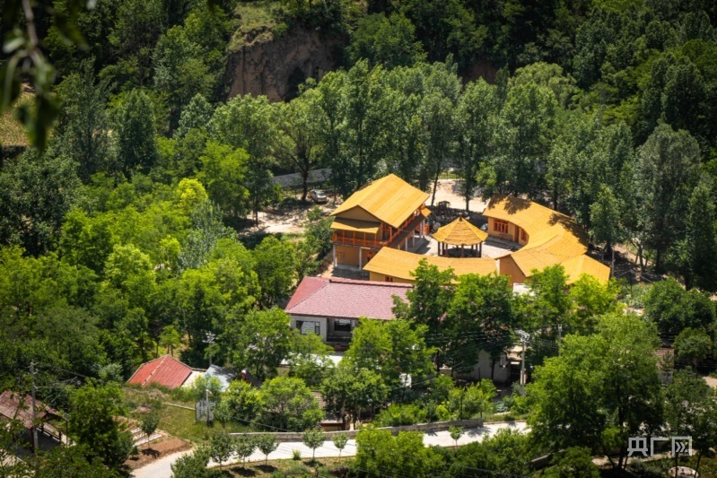 甘肃平凉:践行"两山"理念助力乡村振兴的"上杨样本"