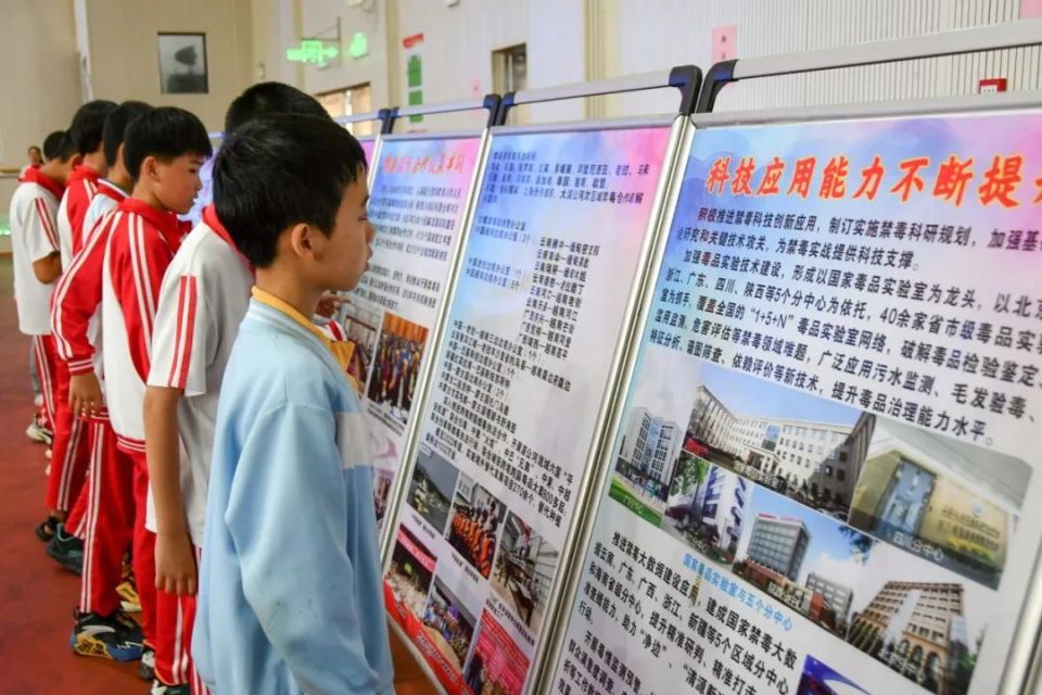 护航无毒青春,守护校园安全