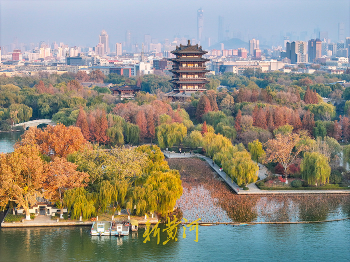 一城山色半城湖冬日的大明湖惬意又充满诗意