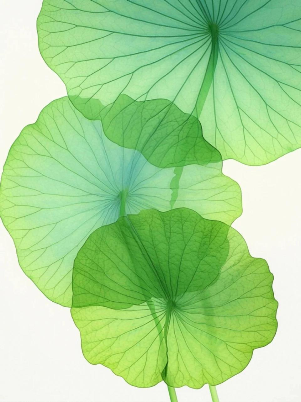 苏轼28句旷达诗词:融注睿智人生哲理,读来如晨钟暮鼓,发人深省