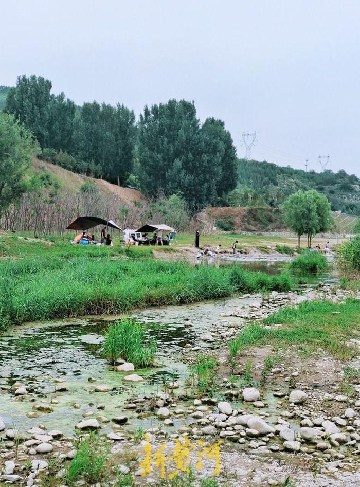 济南黄河生态草坪图片