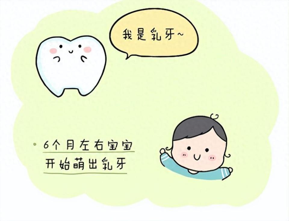 6-12岁儿童牙齿口腔护理指南来了!