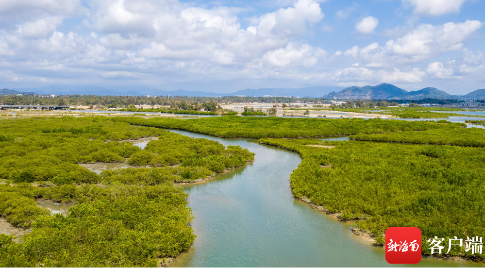 瞰海南|航拍陵水红树林国家湿地公园 海上绿洲美如画_腾讯新闻
