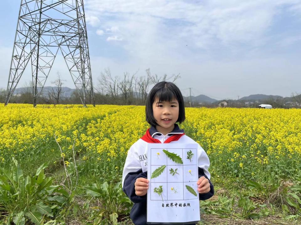 油菜花田,在生机勃勃的田野,寻觅时光印记;在"乐学"高效课堂中,探索