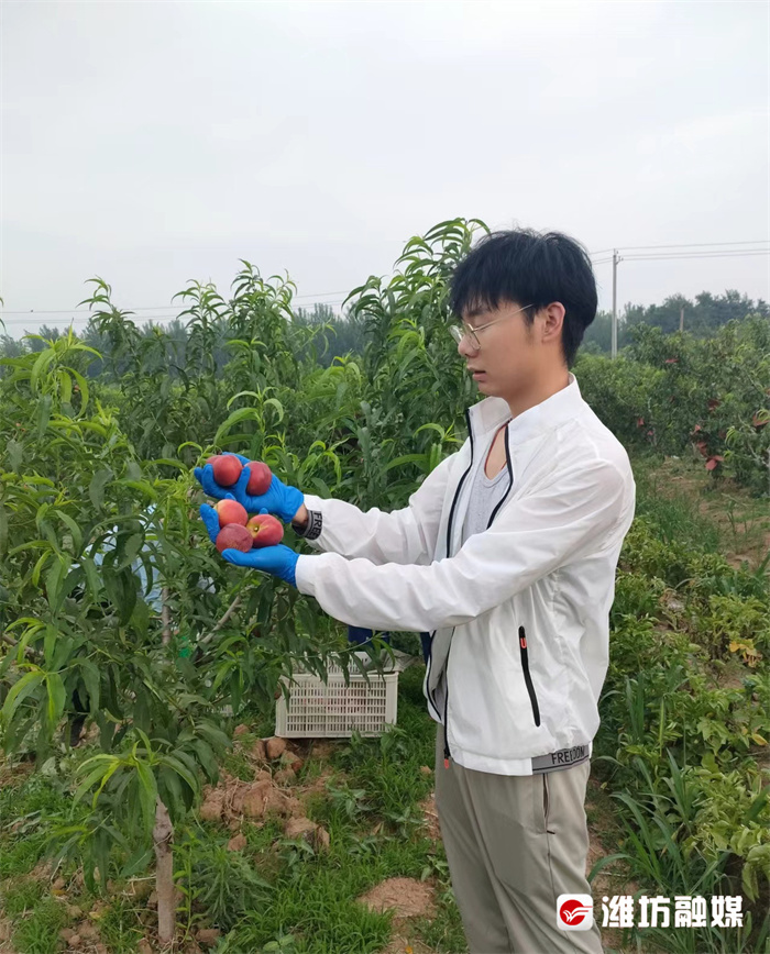 6767村村有好戏26岁青年扎根农村创业他说要带动大家共同致富