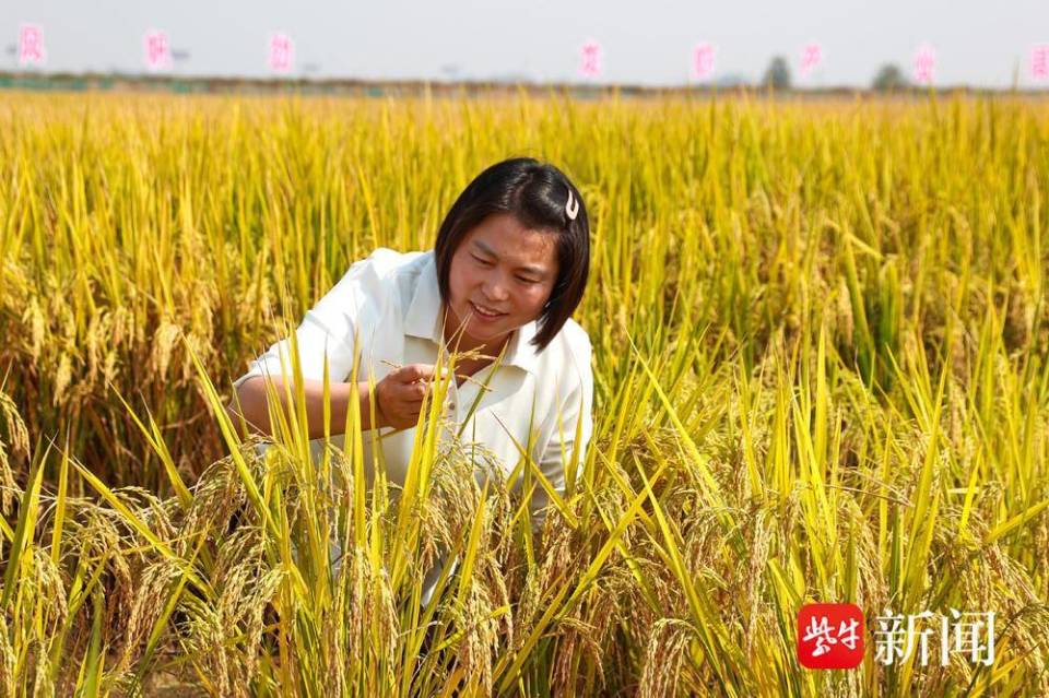 江苏最美人物徐玲从航母女舵手到乡村掌舵人她一直立于时代潮头