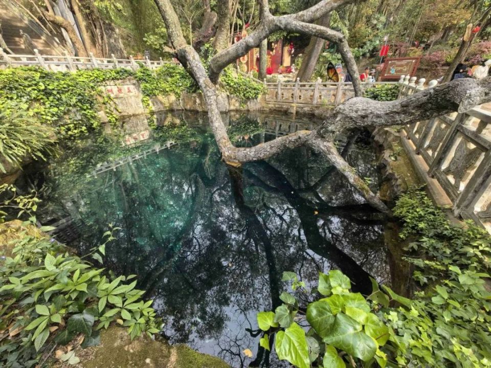 ——大理蝴蝶泉徐霞客旅游文化雅集"活动在欢快的白族歌舞中拉开序幕