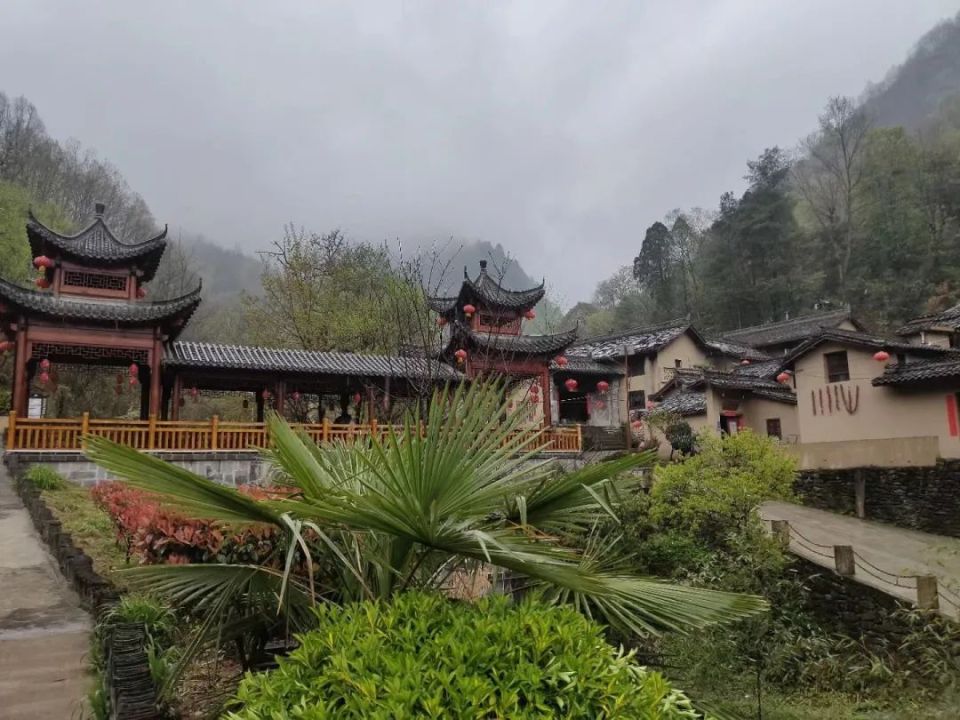 甘肃康县:朱家沟村,严家坝村,大水沟村,走马观花二日游