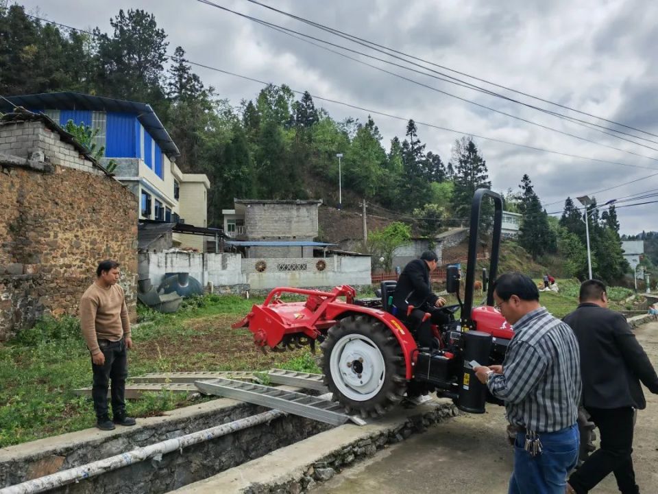 织金县牛场镇:农民专业合作社 助力乡村振兴_腾讯新闻