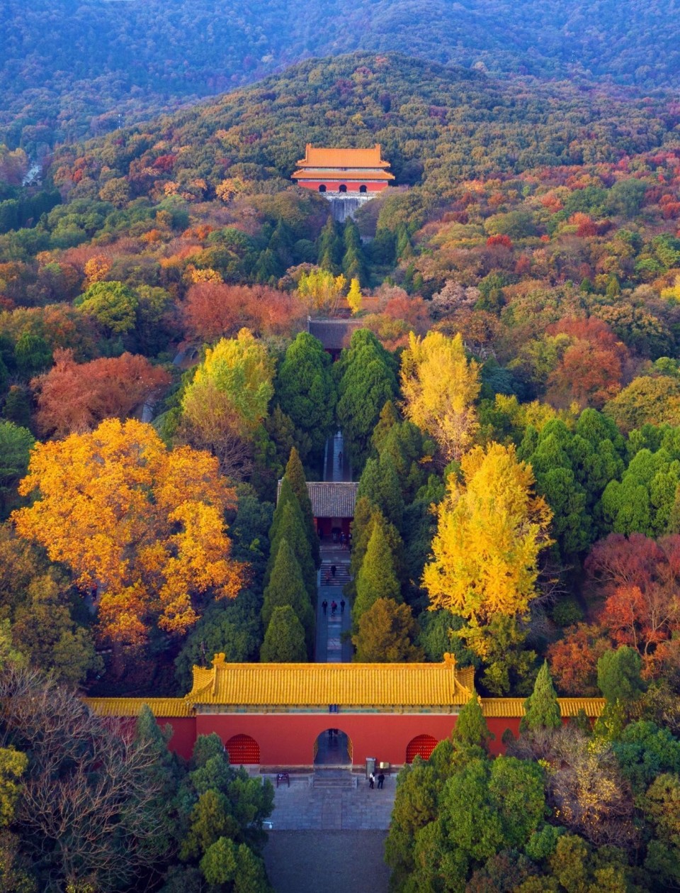 南京钟山风景区停车费事件官宣!7小时217元,背后的考量与启示