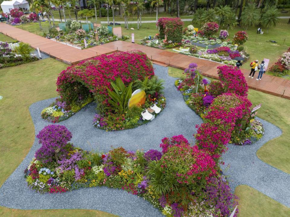 深圳簕杜鹃花展10日起举办