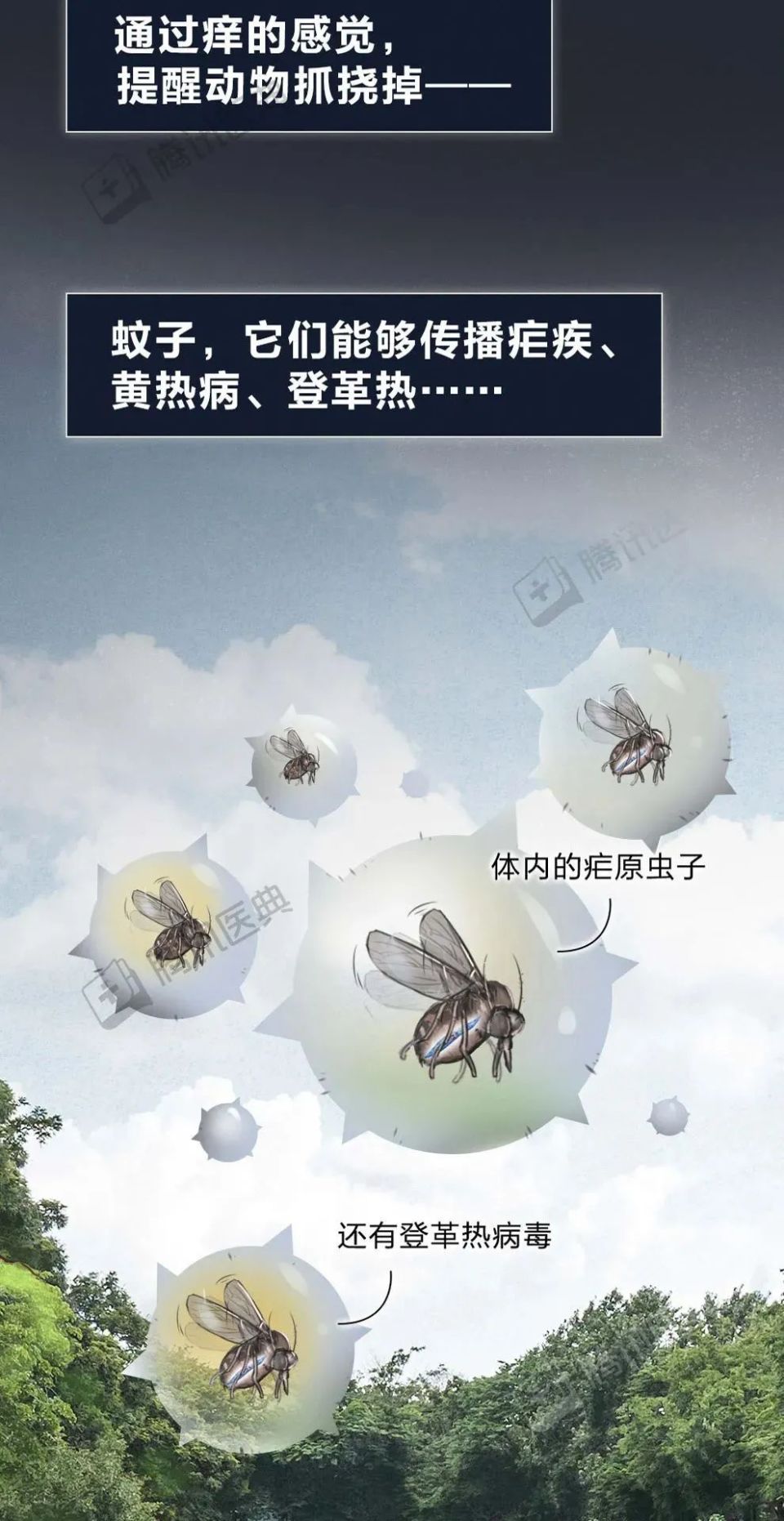 蚊子咬人全过程曝光!3个方法,止痒超级有效!