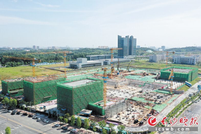 首栋楼主体结构顺利封顶！金霞经开区这个在建项目取得阶段性进展_腾讯新闻