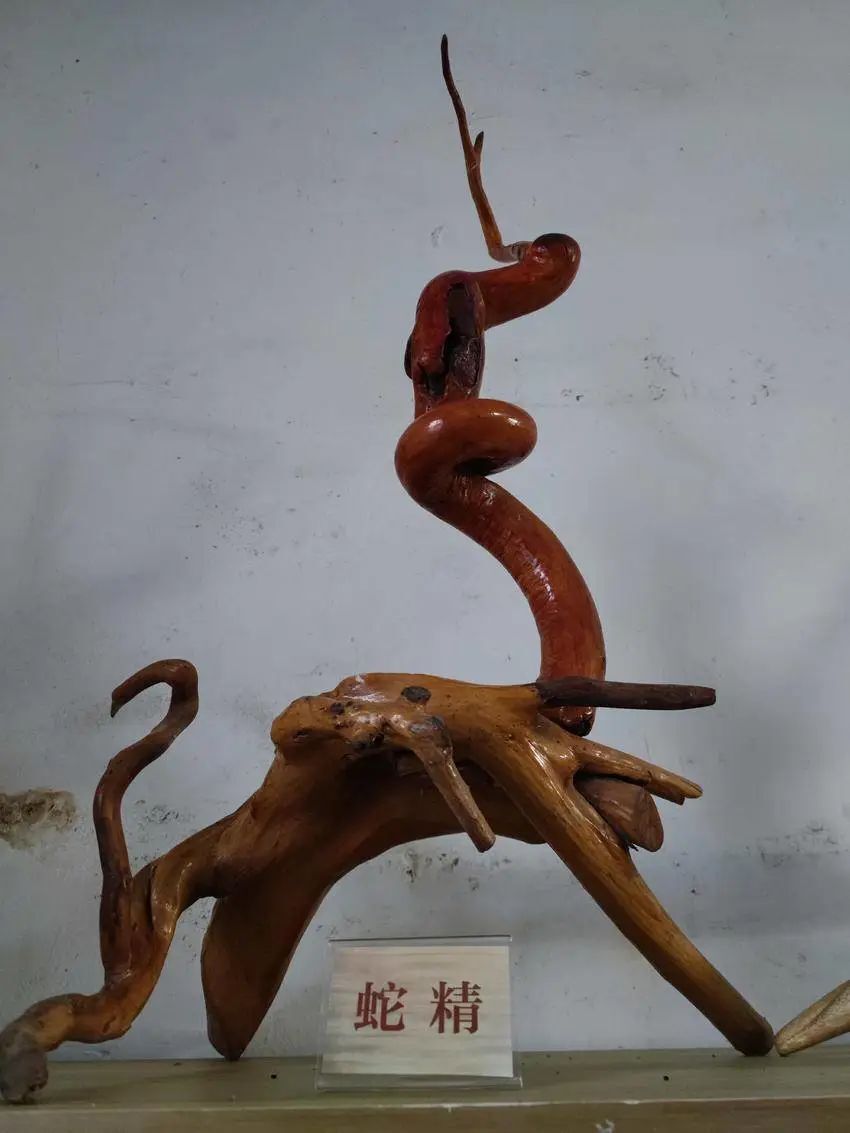 76岁农民醉心根雕艺术雕琢快乐生活