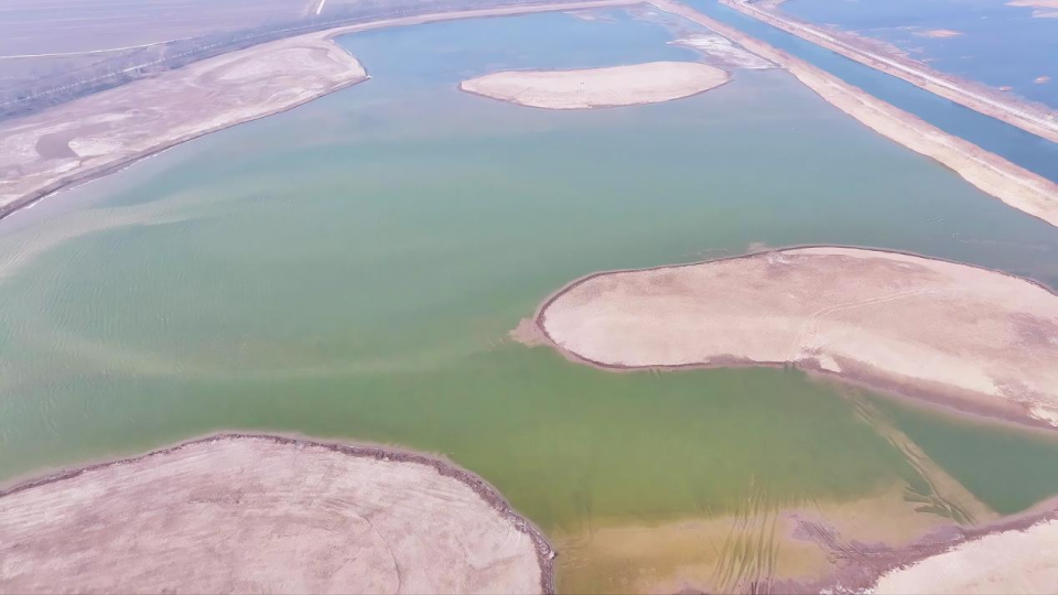 沧州南大港湿地修复见成效春意盎然绘新景