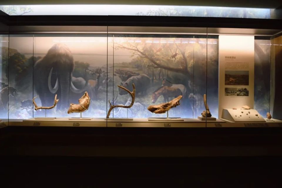 这次,我们从山西博物院的三棱大尖状器开始