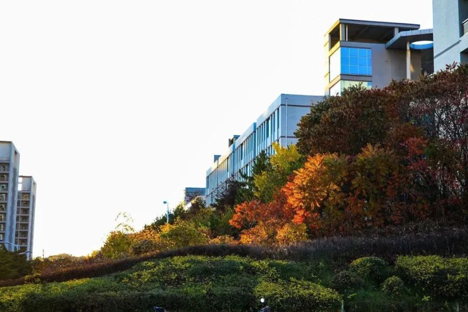 用旅行的方式 打开你心仪大学的校门_腾讯新闻