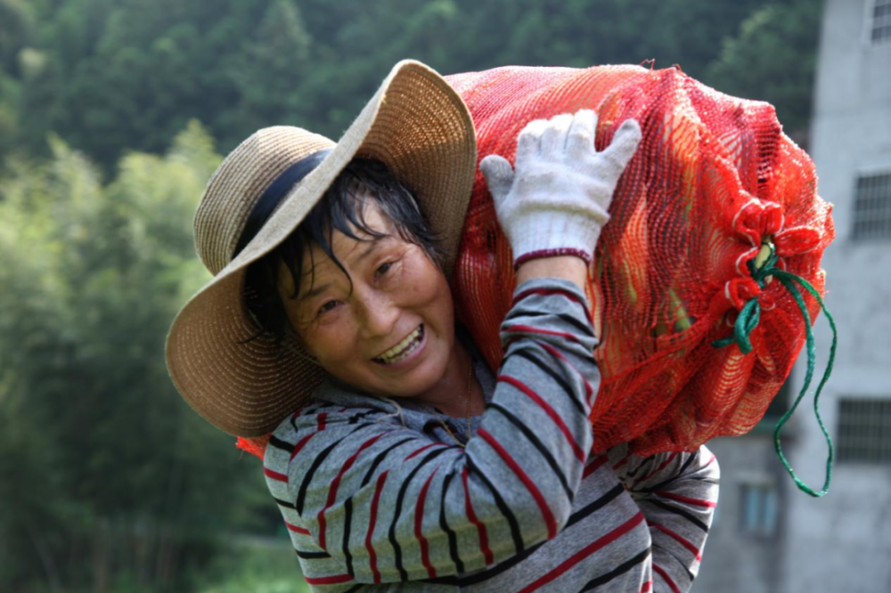 【早安,黄山】安徽首次发现扭尾曦春蜓 ‖ 海关电子口岸卡本地办理