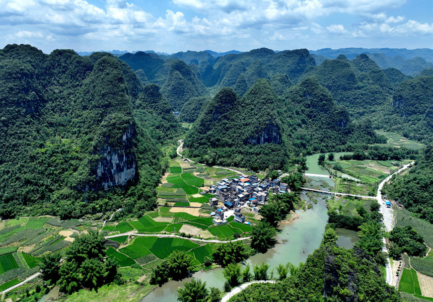 广西罗城:初夏田园美