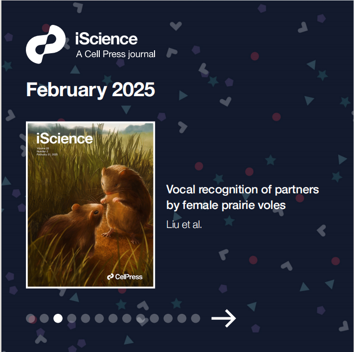 iScience 2025年12期封面突破盘点：交叉科学的精彩瞬间_腾讯新闻