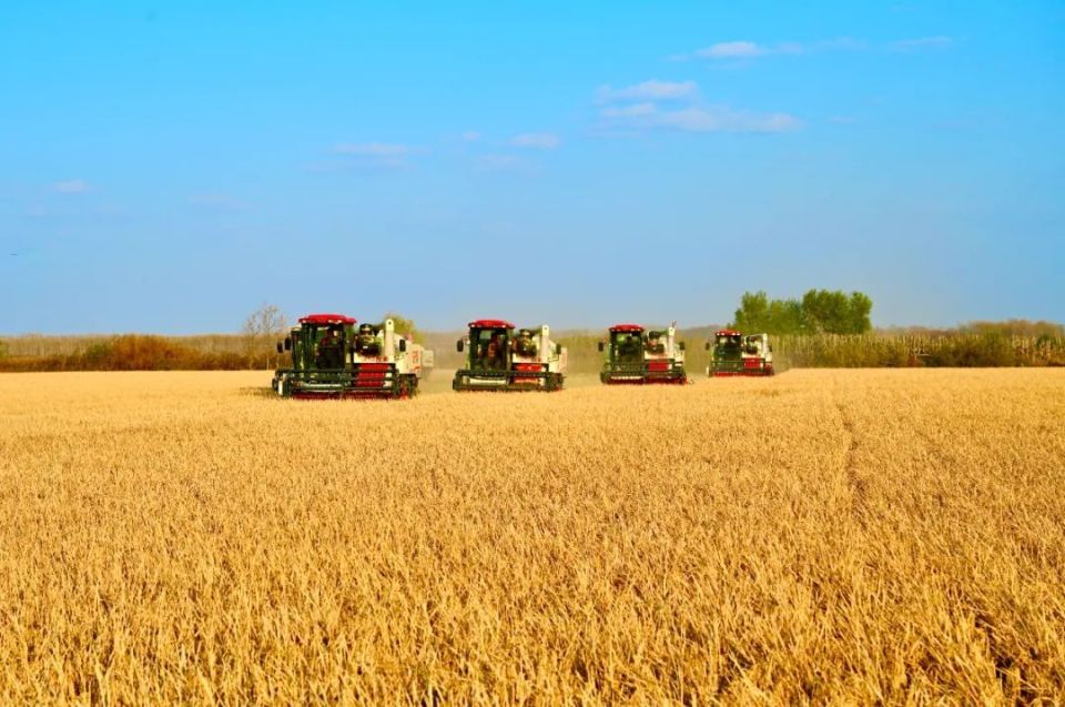 "新"意盎然建三江