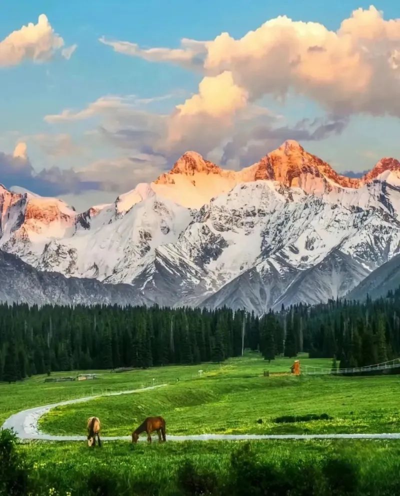 这些龙年成语里，藏着新疆最美的样子-腾讯新闻