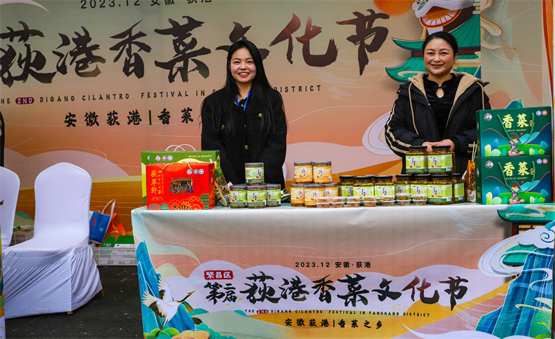 芜湖市繁昌区第二届荻港香菜文化节开幕_腾讯新闻