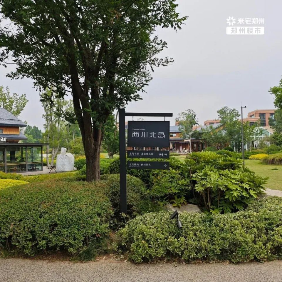 普罗理想国,时代的一个叹息