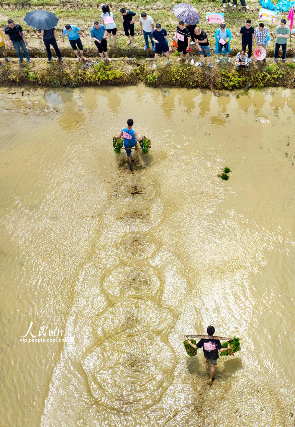 江西宜春:田间运动会 欢乐迎"五一"