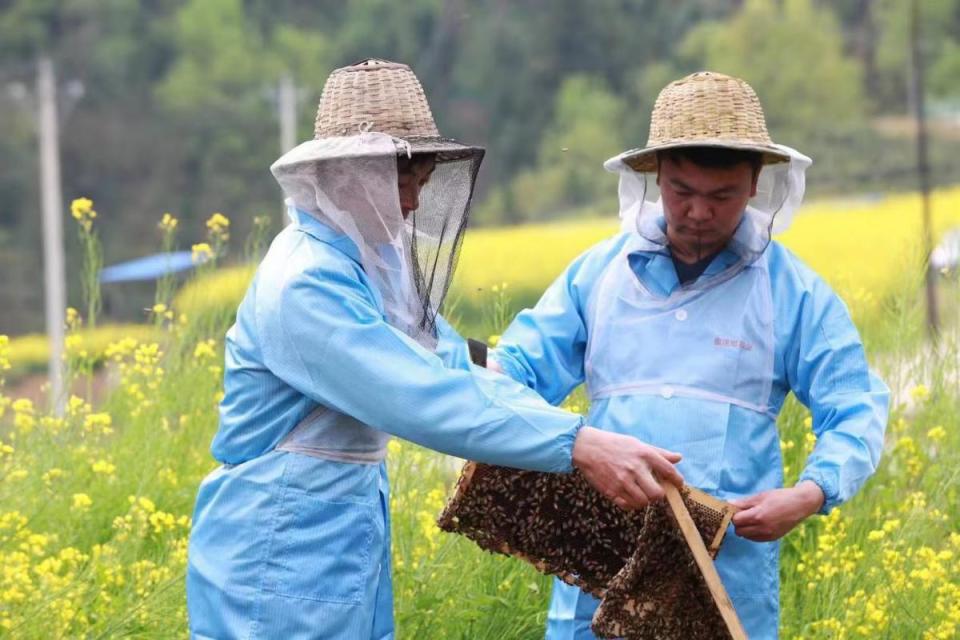 快乐生产线老油条图片