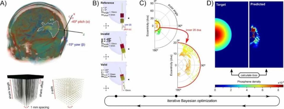 以色列医疗设备有哪些追问weekly ｜ 过去一周，脑科学领域有哪些新发现？Vol.63_https://www.jmylbn.com_新闻资讯_第39张