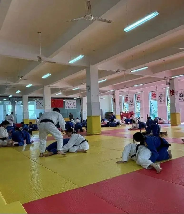 喜报 | 热烈祝贺外实校柔道队在"快乐之星"2024年