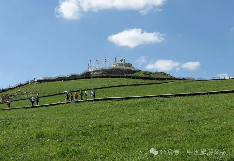 行走丨高原草甸春坤山