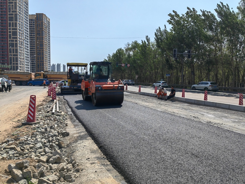 沈阳大堤路图片