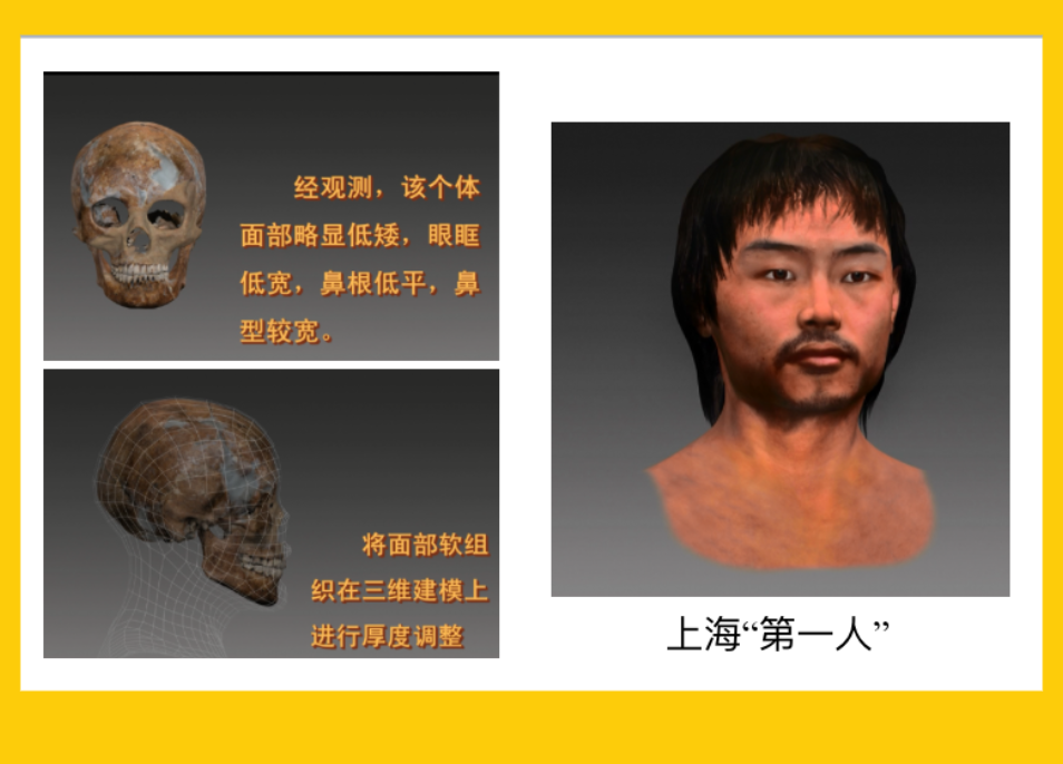 这次海报里有崧泽遗址出土的"上海第一人"的头盖骨,这是2004年发掘