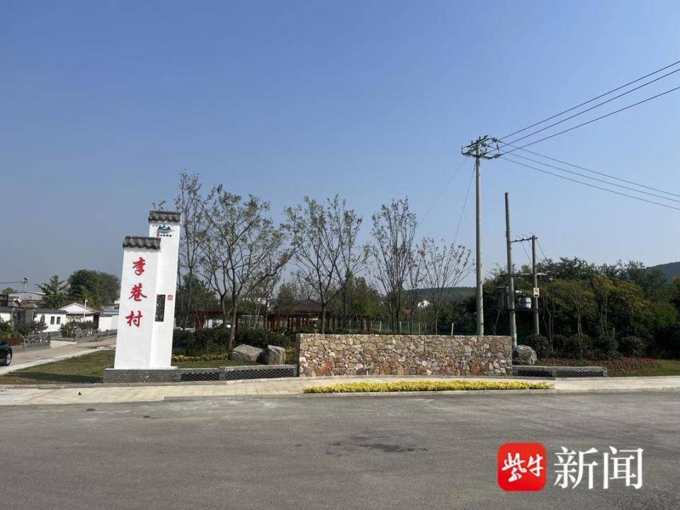 邳州市八路镇打造省特色田园乡村人大代表在行动