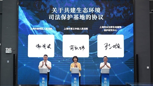 搭平台,为环境资源审判提供技术支持 这个"基地"在崇明陈家镇揭牌