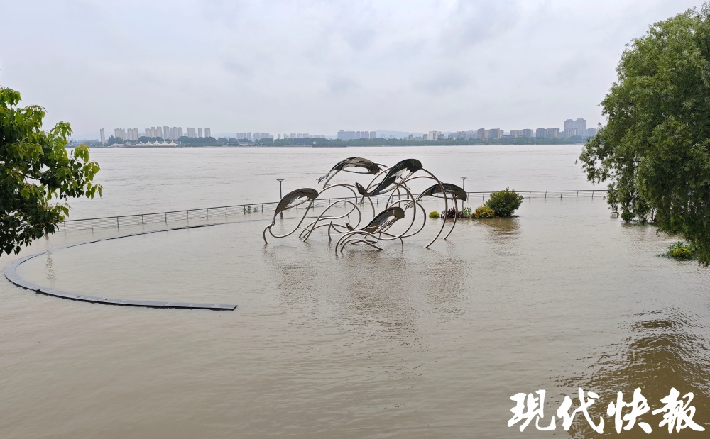 水位涨涨涨!长江南京段亲水平台被淹,揽江台栈桥淹了大半