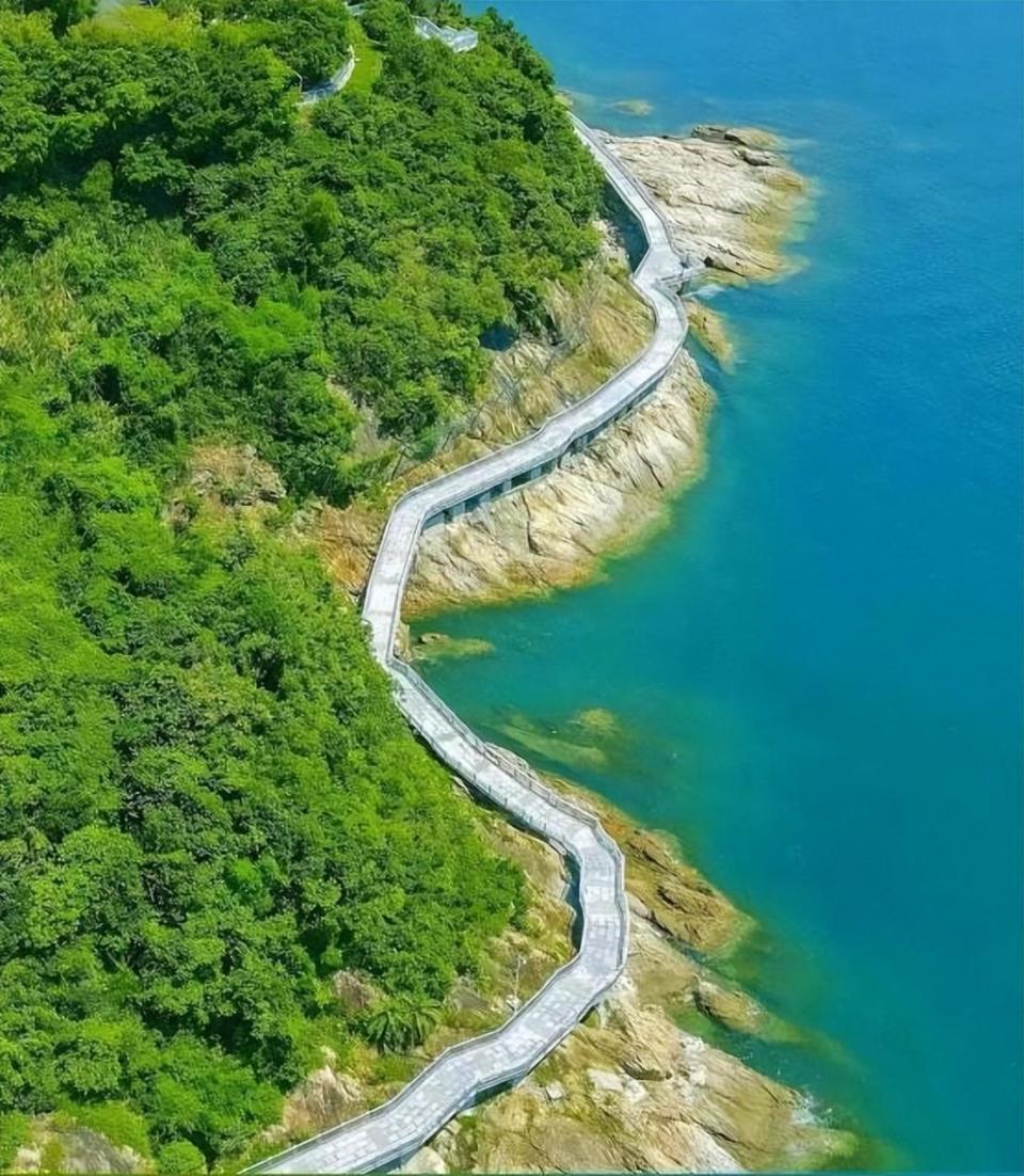 一举高"粽",美丽深圳为高考学子加油!