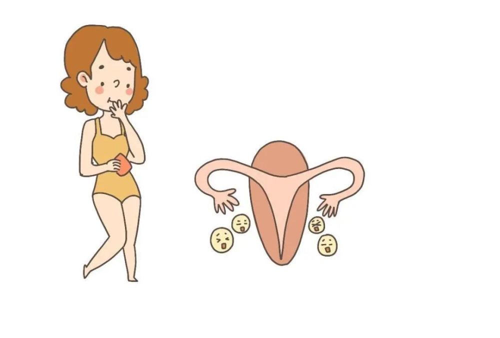 卵巢被称为女性的"生命之源"