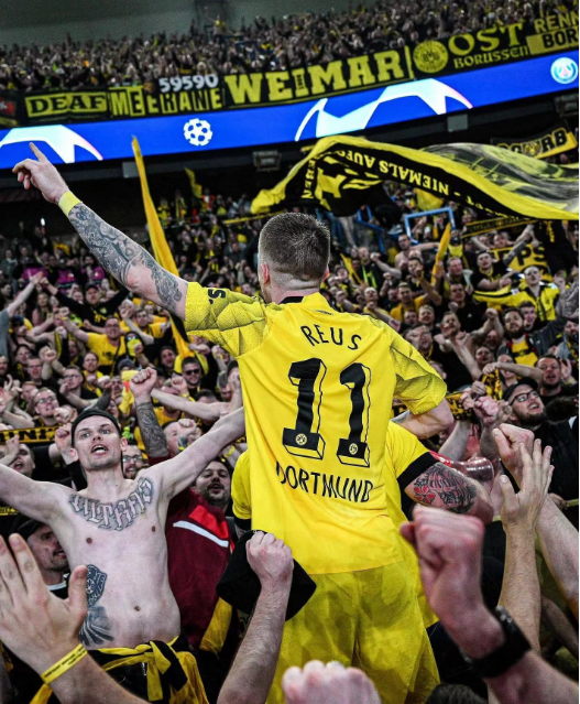 罗伊斯:人生有多少个十二年