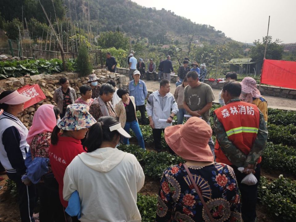 崂山区沙子口街道图片