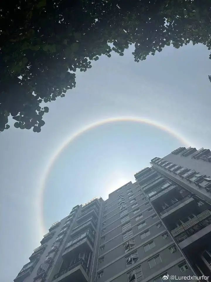 深圳惊现"日晕"!_腾讯新闻