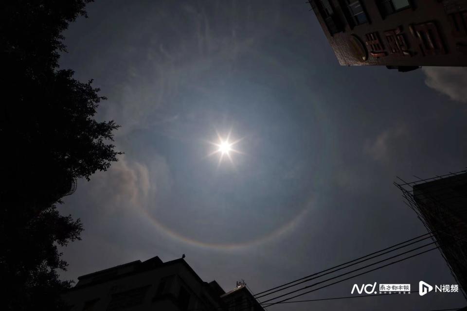 今日广州抬头有惊喜收藏转发这份限量版绝美日晕